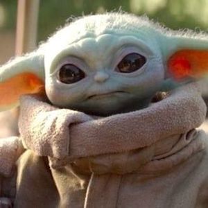 Meet your Posher, Chandler